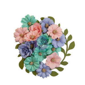 664404 The Plant Despartment